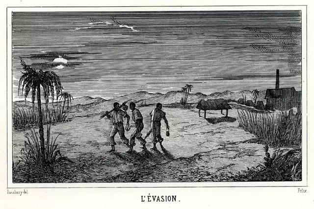 Esclaves marrons à La Réunion, illustration dessinée par Fauchery pour le livre Les Marrons de Louis Timagène Houat.