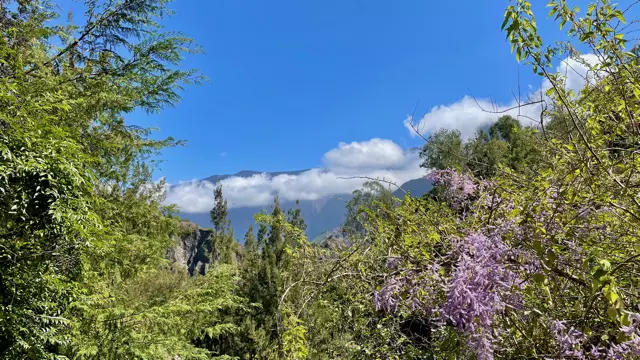 Vue sur la montagne lors d'une randonnée à Cilaos